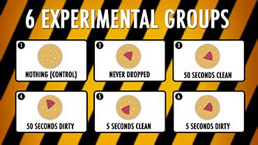 testing the five second rule on dropped food|how to design 5 second rule.